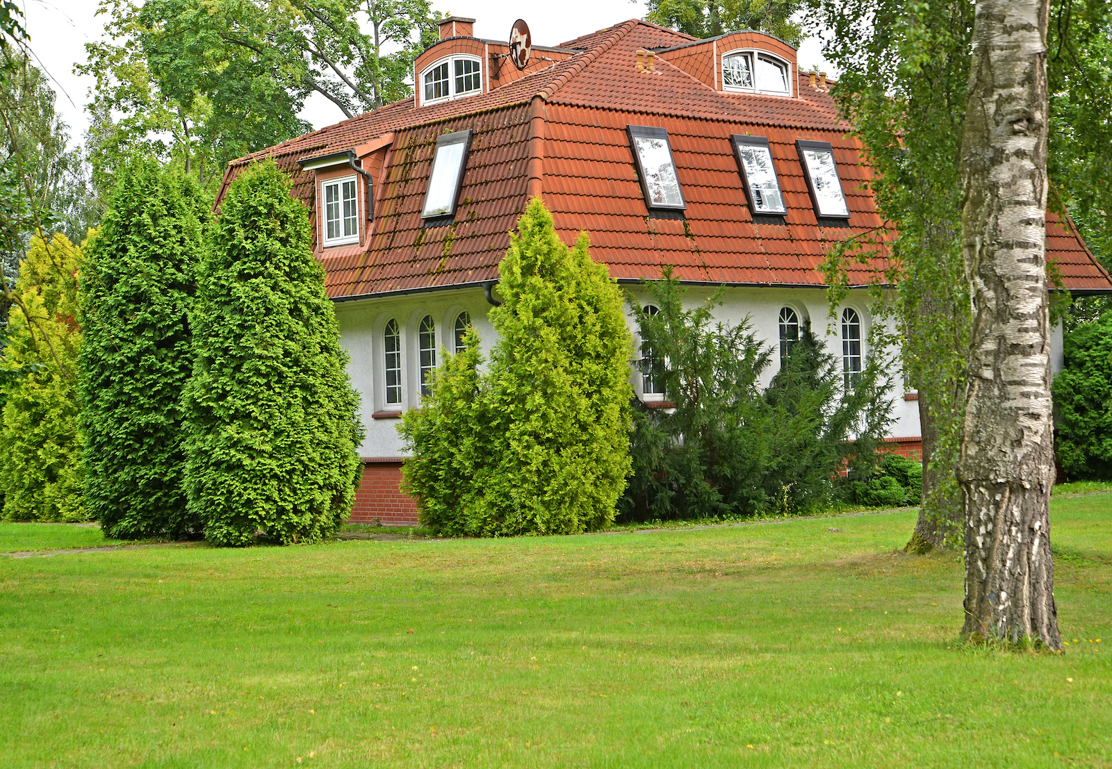 mansardedak