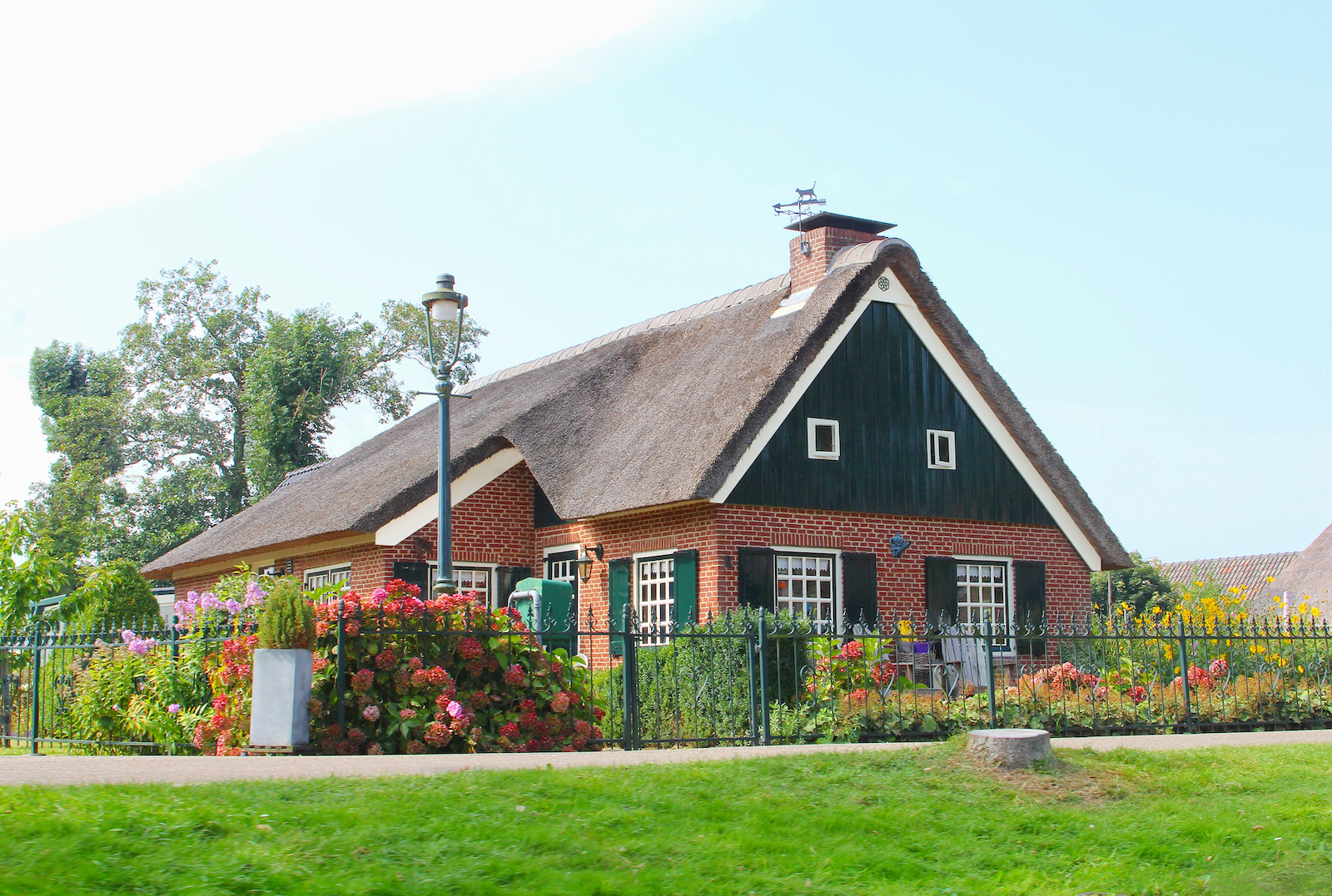 rieten dak